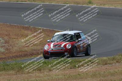 media/May-04-2024-Lucky Dog Racing (Sat) [[d39539b3f3]]/Race Pics/1015am (Turn 2)/